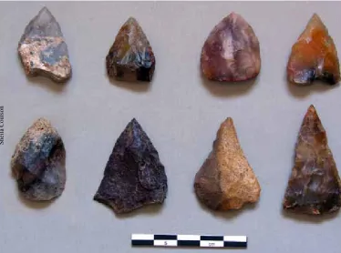 Figure 3 Selection of Middle Stone Age points from Rhino Cave.  Note burnt point with refitted heat spall (bottom row, second from left) and the pink/red point (top row, second from right) where repeated attempts to smash the piece failed.