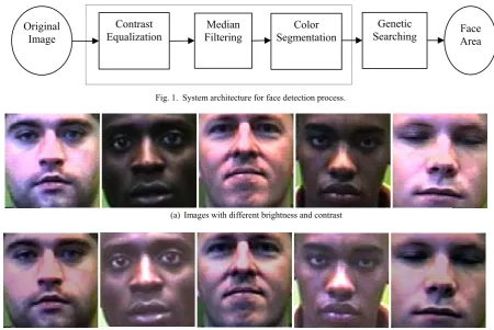 Fig. 2.  Illumination and rms contrast equalization 