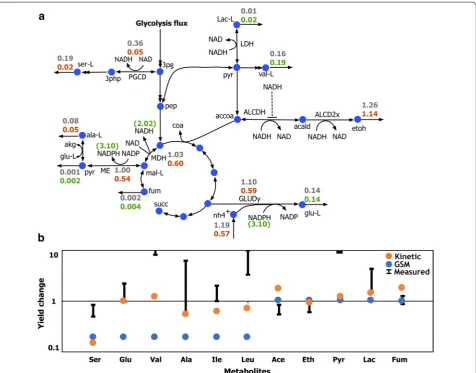 Fig. 6 Impact of limiting nitrogen source in the media on C. thermocellum metabolism. a Change in pathway fluxes and metabolite concentration on reducing ammonium uptake activity to 20% of the wild-type activity