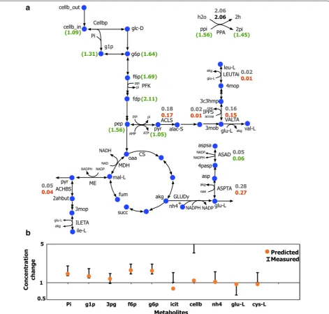 Fig. 7 Overall impact of ethanol stress on concentration change) for the wild-type (tions