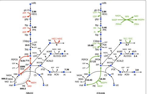 Fig. 1 Summary of modifications in the iCth446 GSM model after updating it from the previous iSR432 reconstruction