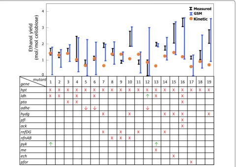 Fig. 2 List of 19 fermentation mutants [36]. The figure shows the corresponding gene knockout (X), downregulation (↓), or upregulation (↑) fol-lowed by a comparison of ethanol yield ranges predicted by the GSM and the kinetic model with the experimentally 