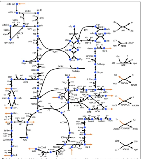 Fig. 4 Core metabolic map of C. thermocellum. The arrows in orange represent the extracellular metabolites, the concentrations and molar yields of which were experimentally measured