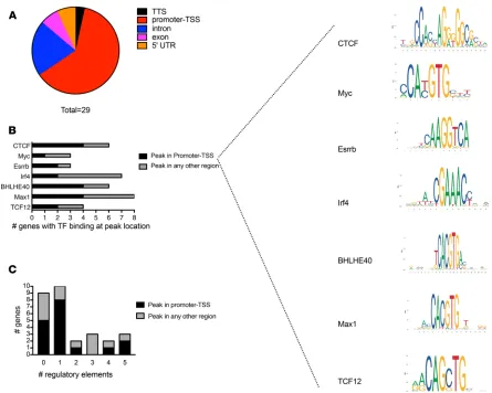 Figure 2. Characterization of 29 genes identified from the top 1000 peaks that exhibited ChIP peak binding within ± 1 kb of the transcriptional start site (TSS)