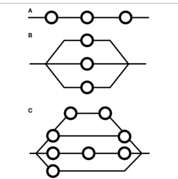 FIGURE 1 | Arrangements of functional subunits in (A) serial formation, (B) parallel formation, and (C) complex, or mixed, formation