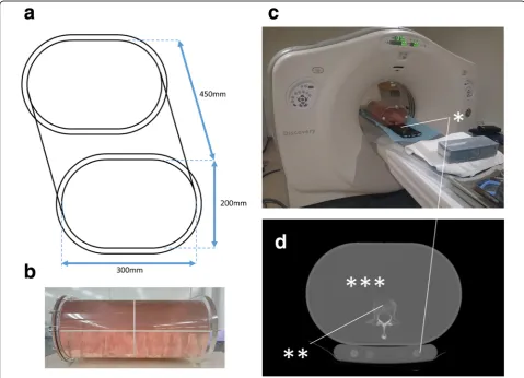 Fig. 1 Multislice computed tomography.tank and the phantom (*) in the scanner. a Drawing of the in-house round rectangle-shaped tank