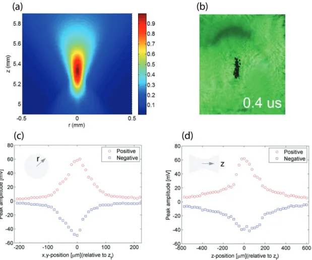 Figure 5.  Characterization of focused photoacoustic pulses. a) The simulated focal region