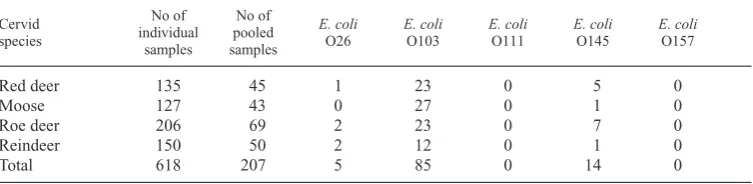 Table 3. Numbers of different E. coli serovar isolates, with verocytotoxic potential, found in faecal samplesfrom different cervid species.