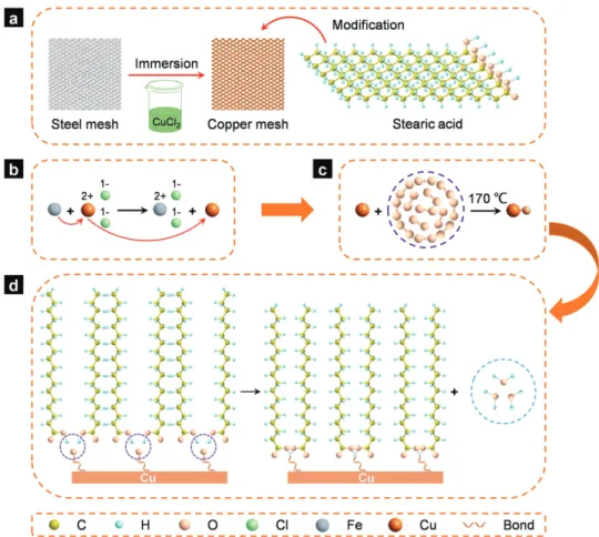 Figure  7a and Figure S3 (Supporting Information)  showed a typical image of the pristine stainless steel mesh  with single-layer steel wires, which formed a series of square  pores