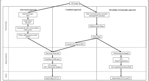 Table 1 Patients and diffusion tensor imaging characteristics (Continued)