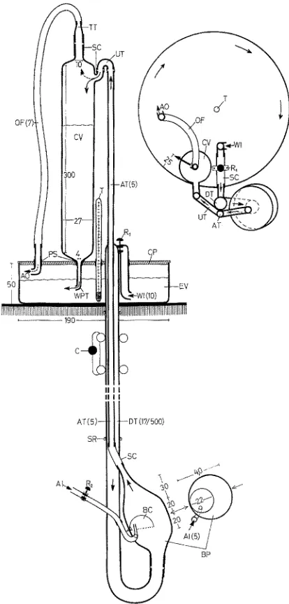 Fig. 2" Water current producing apparatus (seen from the front and from above). AI air inlet, AO air outlet, AT ascending tube, BC bubble-cup, BP bubble-pump, C clamp, CP coverplate, 
