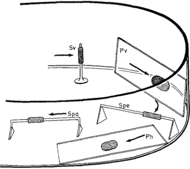 Fig. 4: Placing of sessile organisms under different conditions of water current exposure (in relation to gravity and light from above)