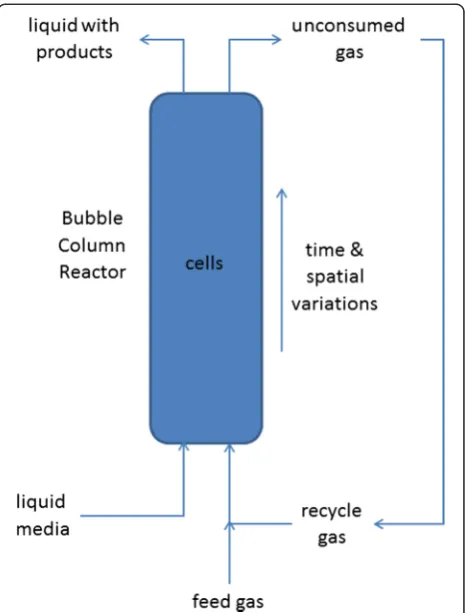 Fig. 1 Bubble column reactor for microbial syngas fermentation