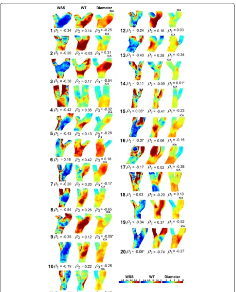 Fig. 2 Wall shear stress (WSS), wall thickness (WT) and diameter maps of the left carotid bifurcation for all subjects
