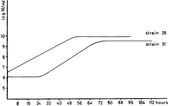 Fig. 1 : Growth curve of bacteria strain 26 (yellow) and strain 31 (red). The end of the loga- rithmic phase of all tested strains varied between 42 and 124 h 