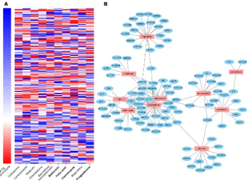 Figure 2. Gene expression heatmap and protein-interaction connectivity of category A/B therapeutic drug hits