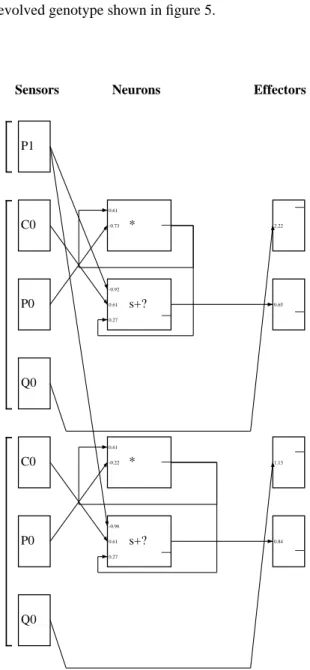 Figure 6a: The phenotype morphology generated from the evolved genotype shown in figure 5.