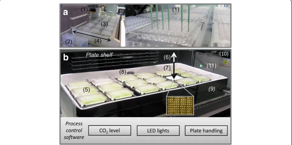 Figure 1 The screening system used for nutrient optimisation.chamber. See (a) Automated media preparation equipment and (b) automated growth ‘Material and methods’ for details.