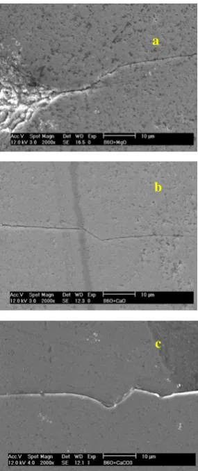 Figure 6 Indentation crack path on sintered (a) B6O-MgO, (b) B6O-CaO, and (c) B6O-CaCO3 materials