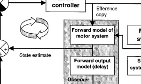 FIG. 2. The Smith Predictor model: The outer loop of this figure indicates a feedback control loop in which motor commands from a motor controller (motor cortex) act on the motor system to alter its state, and cause reafferent sensory inputs