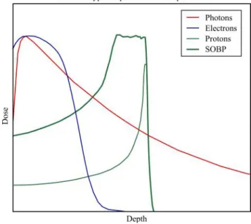 Figure 5.1: Schematic dose-depth curves of different particles: photons, electrons and protons.