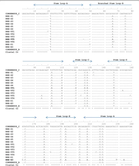 Figure 1 HIV-1 RRE variants in North Indiaand subtype B (pNL4-3) [14]. Five stem loop regions are shown at the top of the sequence