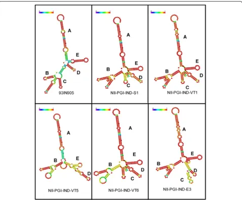 Figure 3 Secondary structures of RRE variants: Representative samples were subjected to RNA fold program as described in figure 2