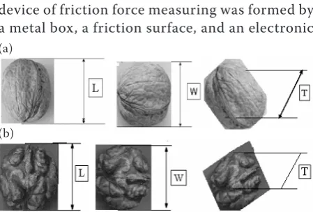 Figure 1. Description of three perpendicular dimensions of shelled (a) and kernel (b) walnuts