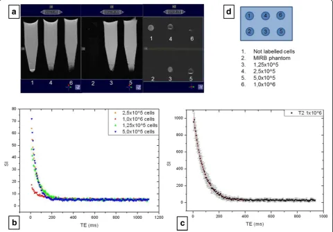 Table 1 MIRB phantom cells, unlabelled cells and MIRB-labelled cells relaxometry results