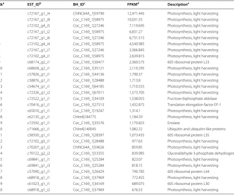 Table 3 List of the top 30 most abundant ESTs in log-phase B. braunii 779 cells