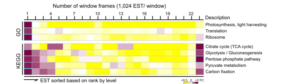 Fig. 5 Subsets of ESTs in a number of GO biological processes and KEGG metabolic pathways are most abundantly transcribed in log-phase B