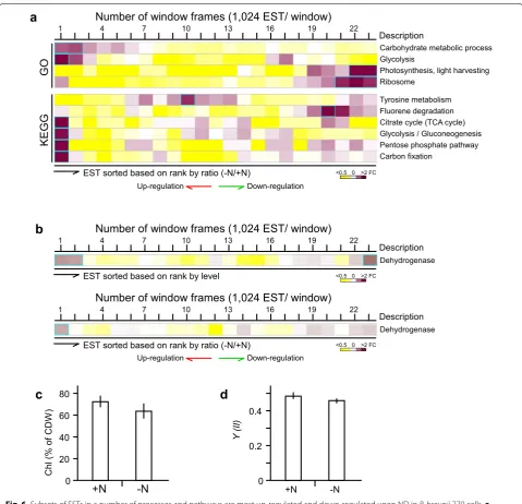 Fig. 6 Subsets of ESTs in a number of processes and pathways are most up-regulated and down-regulated upon ND in B