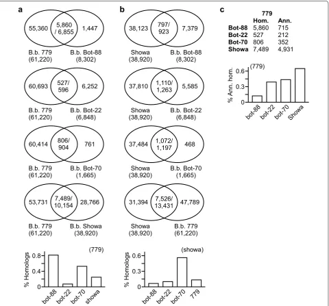 Fig. 4 Highest level of similarities is found between transcriptomes of the same race tomes is shown at the Number of all homologous (Hom.) ESTs and annotated (Ann.) ESTs between bar plotB