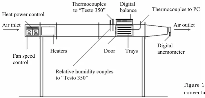 Figure 1. Schematic diagram of the convection drying equipment