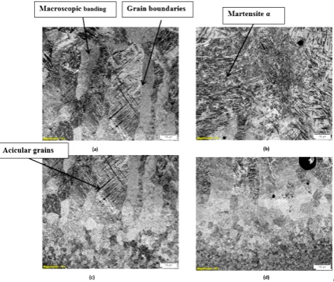 Fig. 4: Microstructure of the substrate 