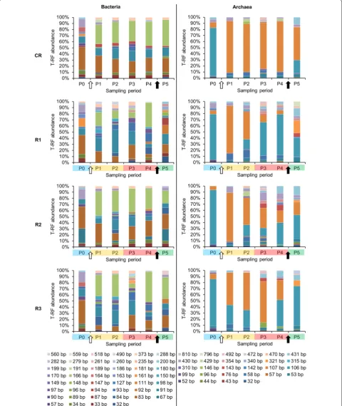 Fig. 4 Bacterial and archaeal community structure dynamic over time as assessed by 16S rRNA gene-based T-RFLP analysis