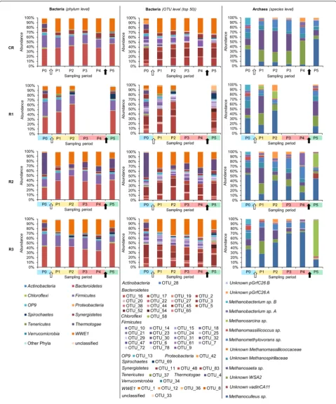 Fig. 5 Bacterial and archaeal diversity dynamic over time as assessed by high-throughput 16S rRNA amplicon sequencing