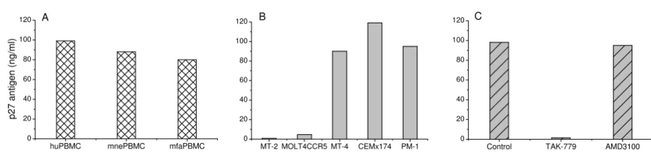 Figure 1In vitro characterization of RT-SHIVIn vitro characterization of RT-SHIV