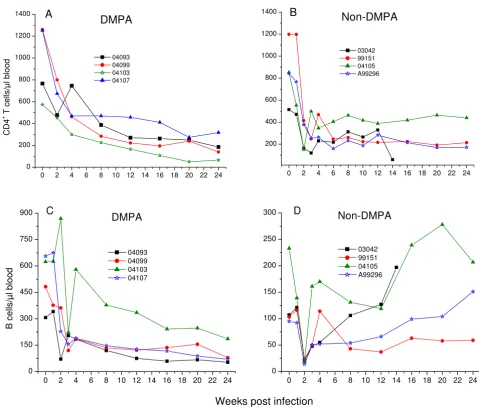 Figure 4Changes of CD4+T cell and B cell numbers in RT-SHIV infected macaquesChanges of CD4+T cell and B cell numbers in RT-SHIV infected macaques