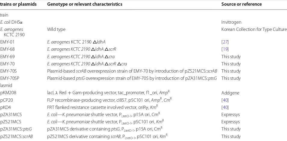 Table 1 Strains and plasmids used in this study