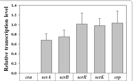 Fig. 4 Real‑time PCR results of genes involved in sucrose catabolism by the deletion of the cra gene