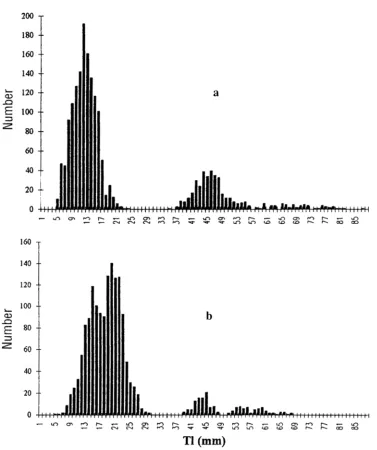 Fig. 1. Length frequency distribution of eel larvae (Anguilla angui]la) in the North Atlantic: investi- gated in (a) 1979, based on the combined samples of Schoth & Tesch (1982) and Kracht (1982), and collected from 22nd March to 6th May between the centra