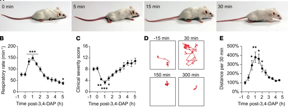 Figure 2. Single administration of 3,4-DAP transiently reverses severe physiological symptoms of botulism.) Representative trajectories reflecting 50(ness and severe abdominal paradox to mice that are erect and ambulatory with reduced abdominal paradox