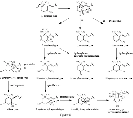 Figure 48(cyclopentyl ketone)24Carotenoids with cyclic ends are integral constituents of plants, algae, and cyanobacteria photosynthetic reaction centers