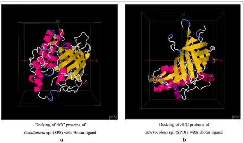 Fig. 8 Root mean square fluctuation of atoms during the simulation process of protein ligand complex