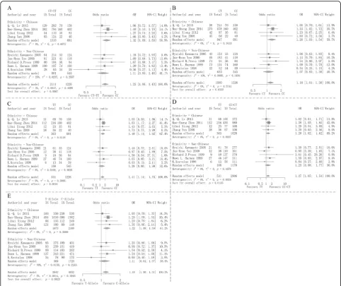 Fig. 2 Forest plots of the relationship between MTHFR 677CT polymorphism and ischemic stroke (a: CT + TT vs