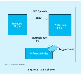 Figure 2.  CDS Scheme