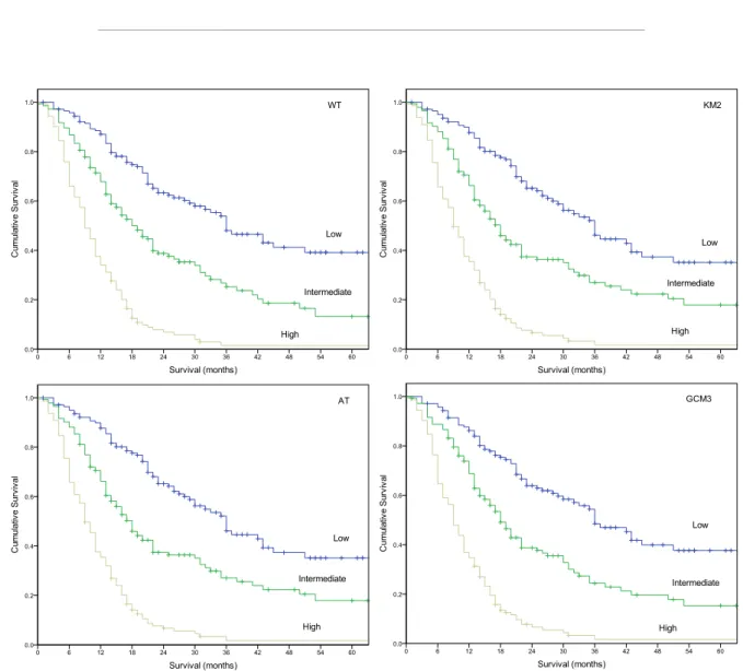 Figure 1: Risk stratification and OS for WT (Top Left), KM2 (Top Right), AT (Bottom Left), GCM3 (Bottom Right)