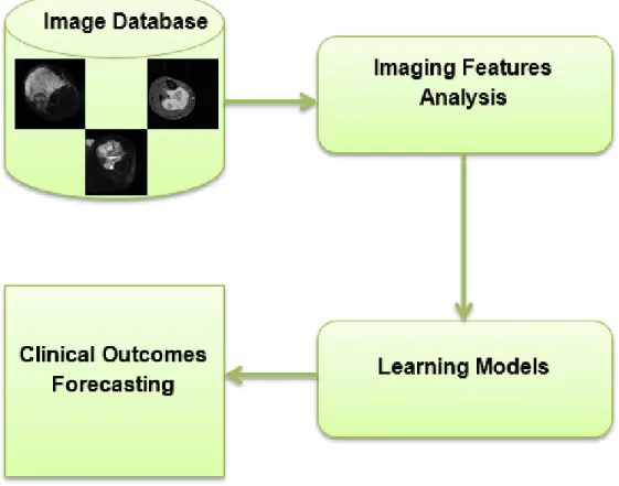 Figure 1.1. The dissertation scheme