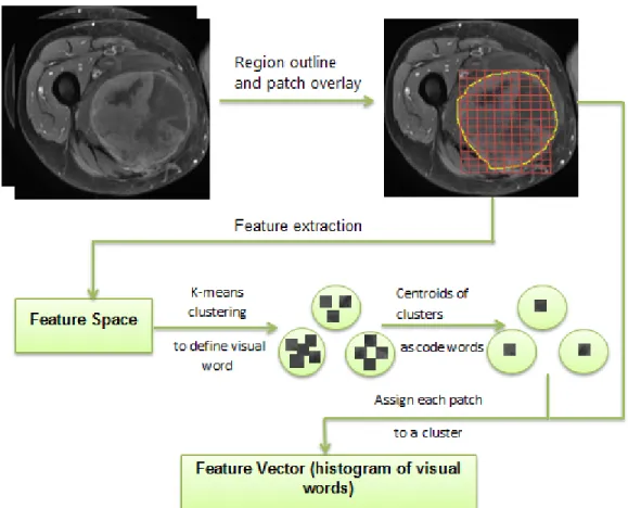 Figure 2.3. Feature vector from bag of visual words model